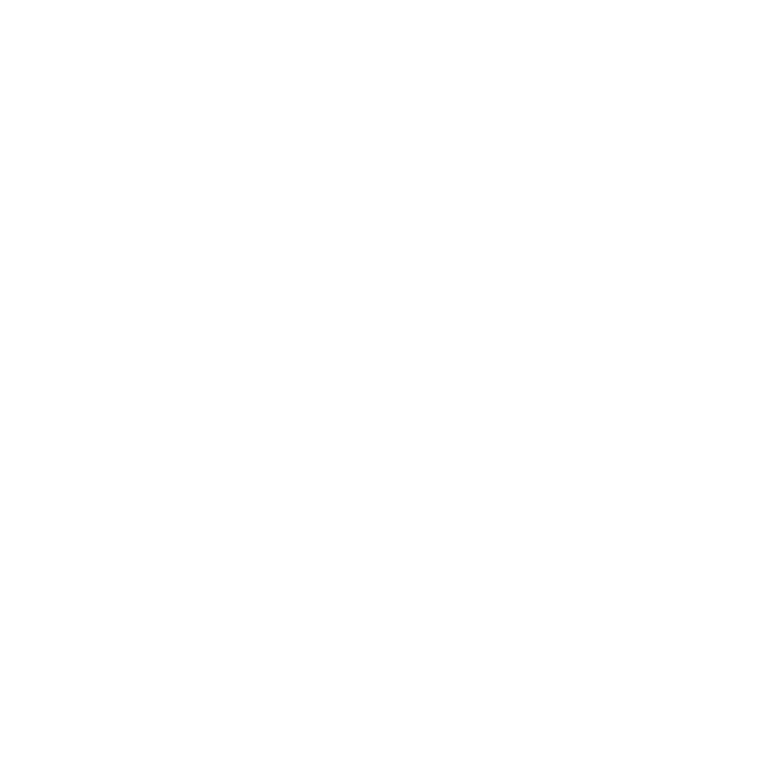 icon LinkedIn